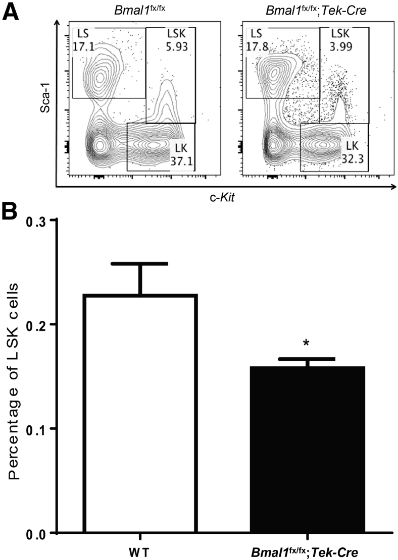 Figure 4