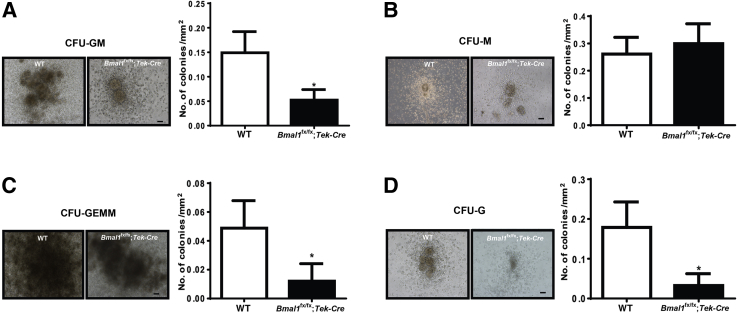 Figure 5