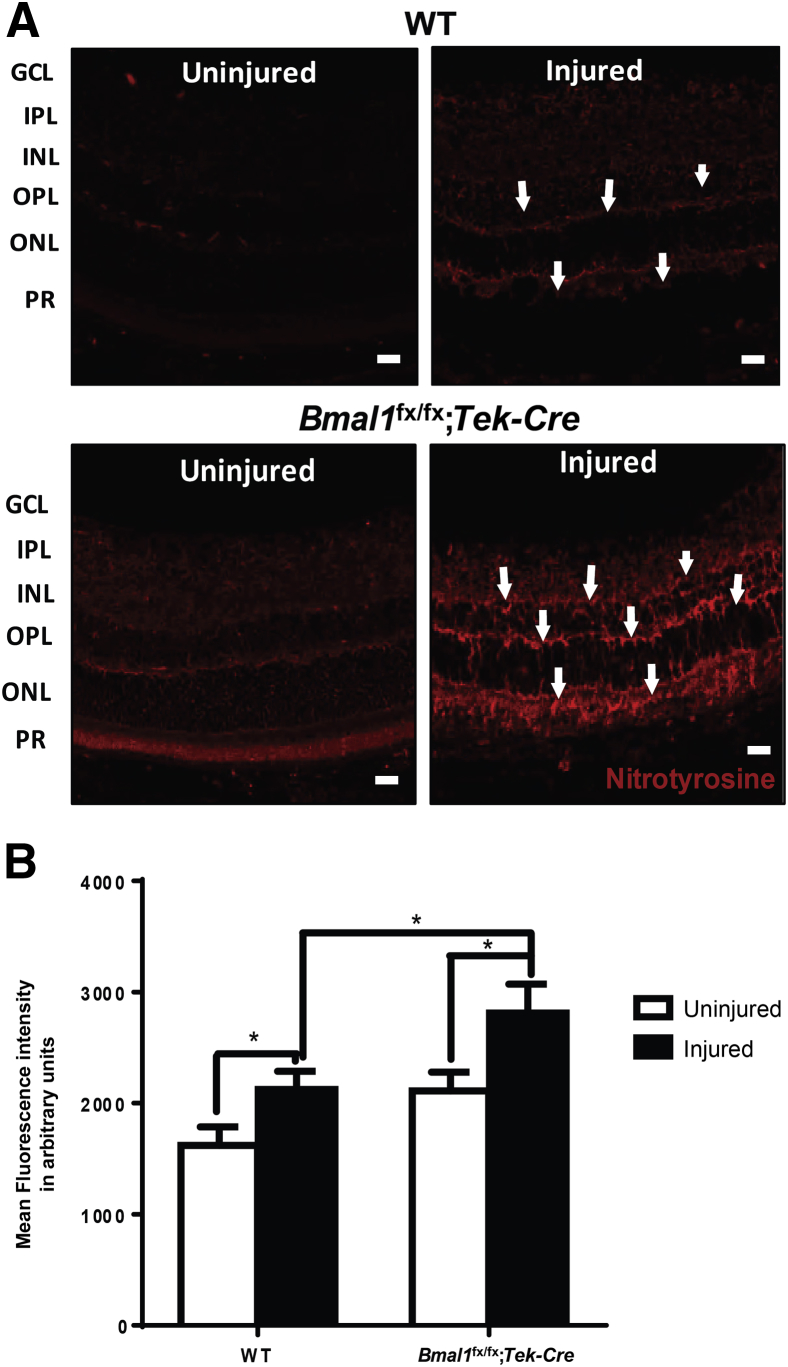 Figure 6