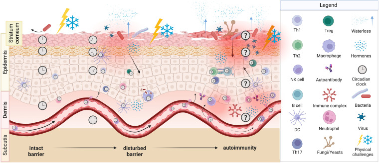 Figure 3