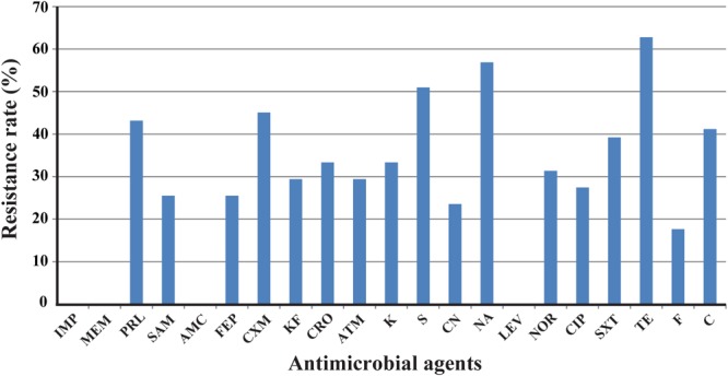 FIGURE 1