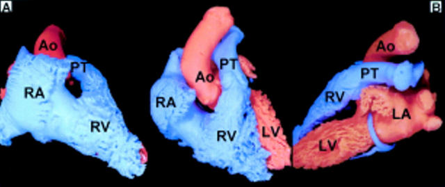 Figure 2  