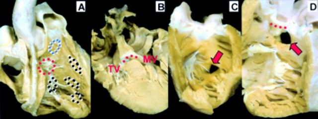 Figure 15  