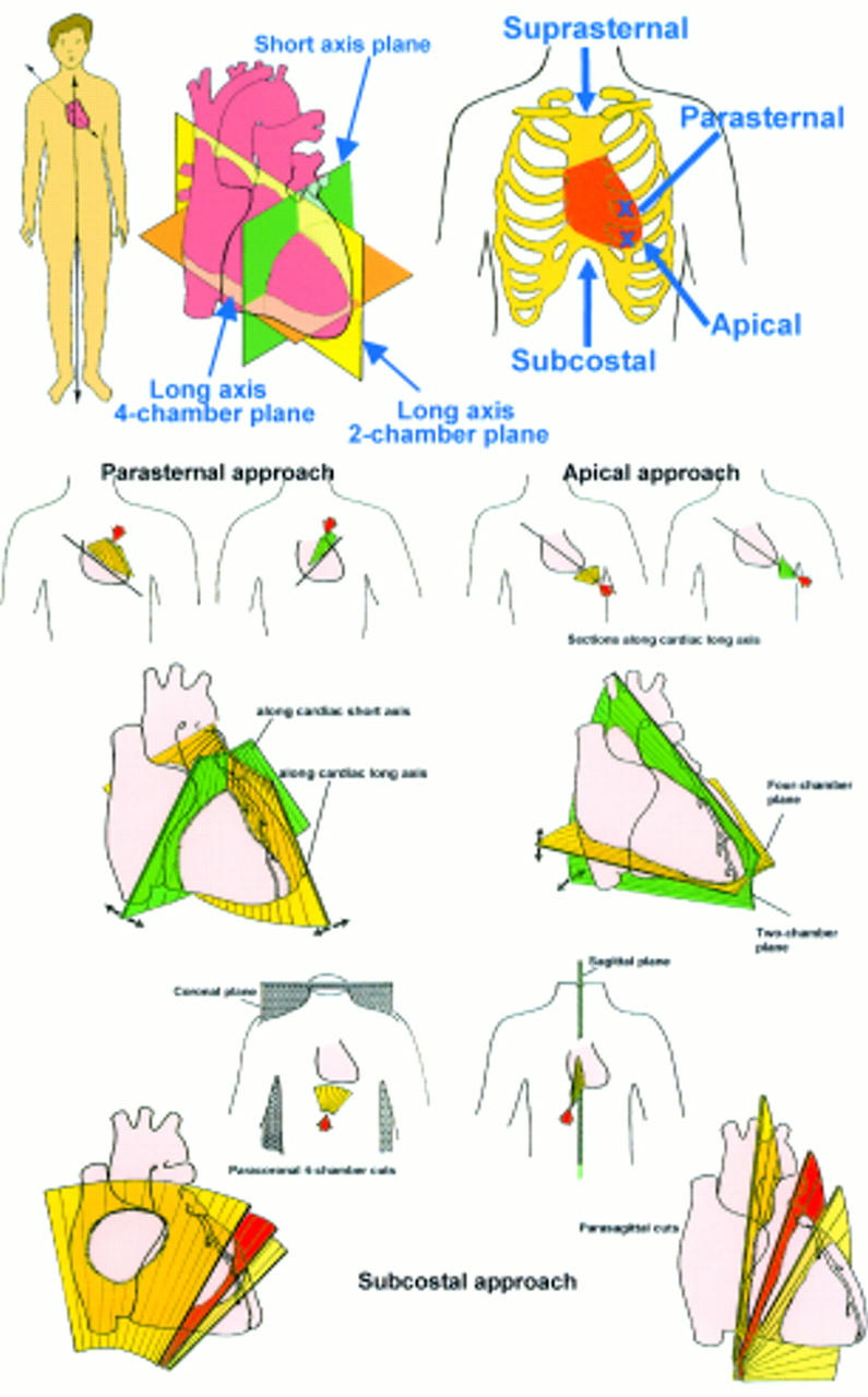 Figure 1  