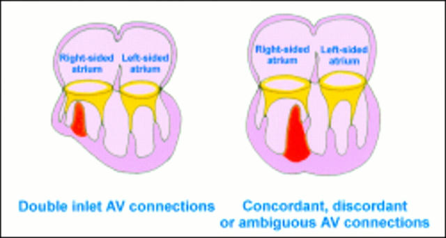 Figure 12  