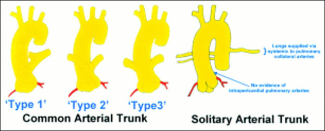 Figure 13  