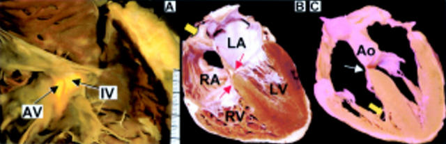 Figure 4  