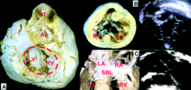 Figure 16  