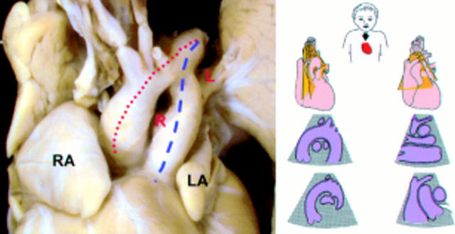 Figure 6  