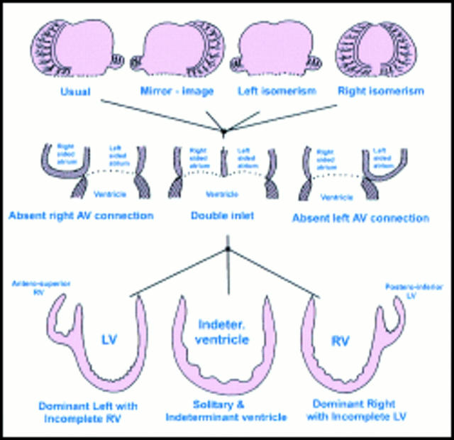 Figure 10  