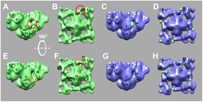 Fig. 4.