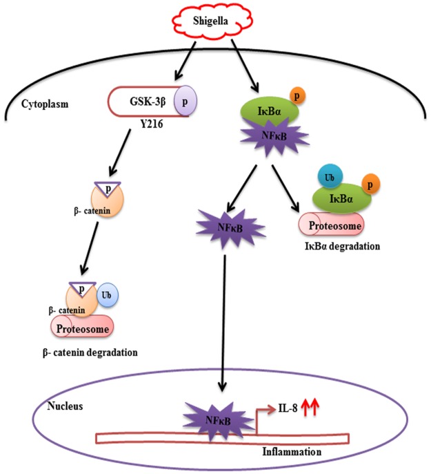 Fig 6