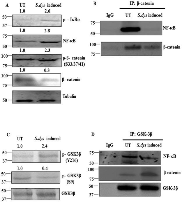 Fig 5