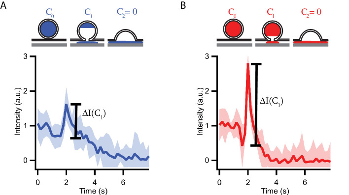 Figure 1—figure supplement 2.