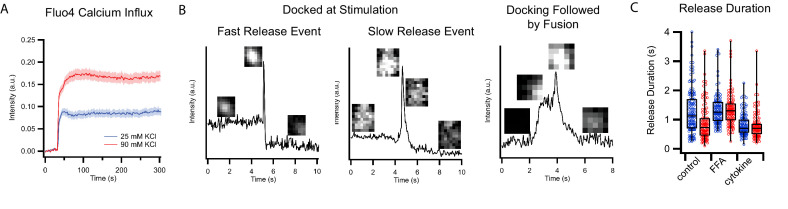 Figure 2—figure supplement 1.