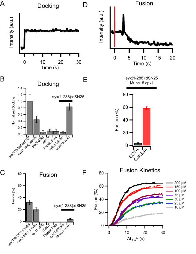 Figure 1—figure supplement 1.