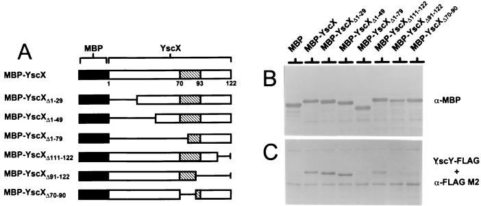 FIG. 7