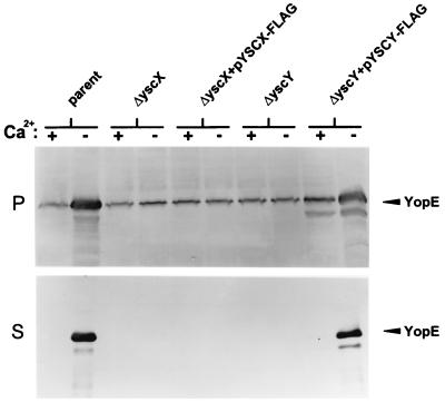 FIG. 3