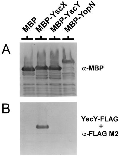 FIG. 6