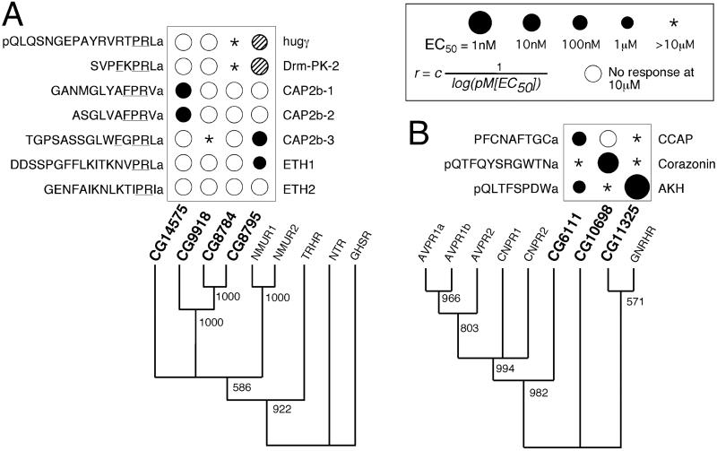 Fig 3.