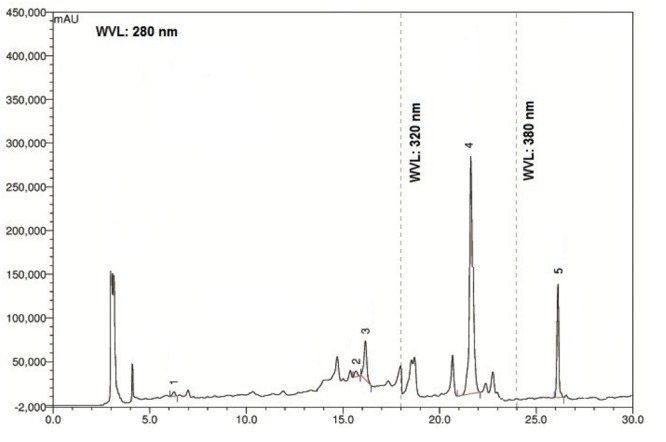 FIGURE 2