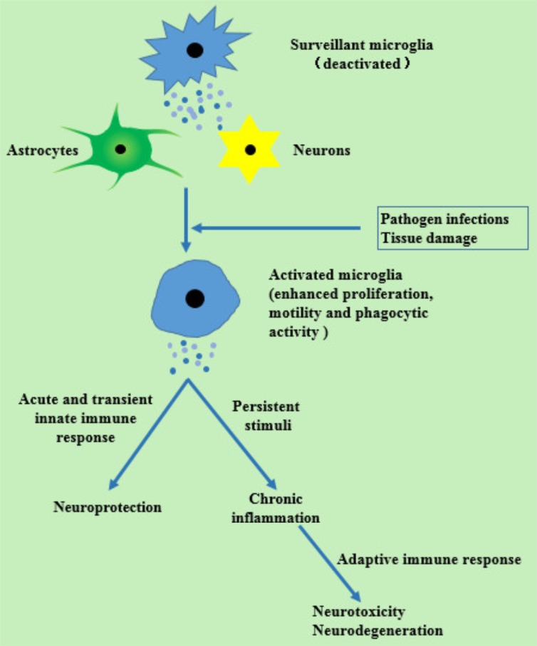 Fig. (1)