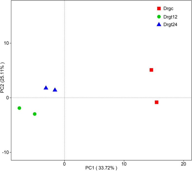 FIGURE 1