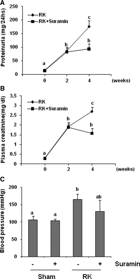 Figure 11.