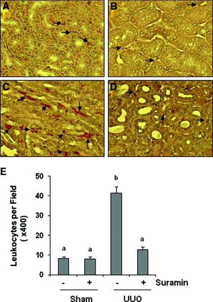 Figure 10.