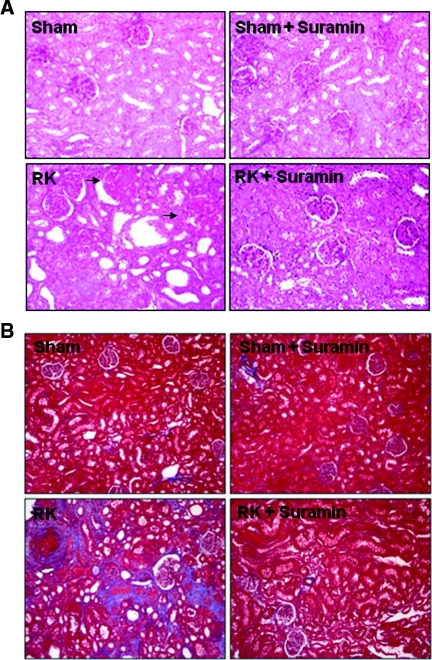 Figure 12.