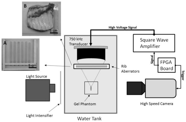 Fig. 2