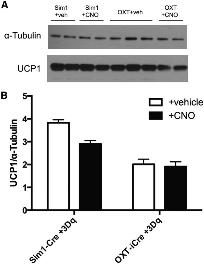 Figure 10.