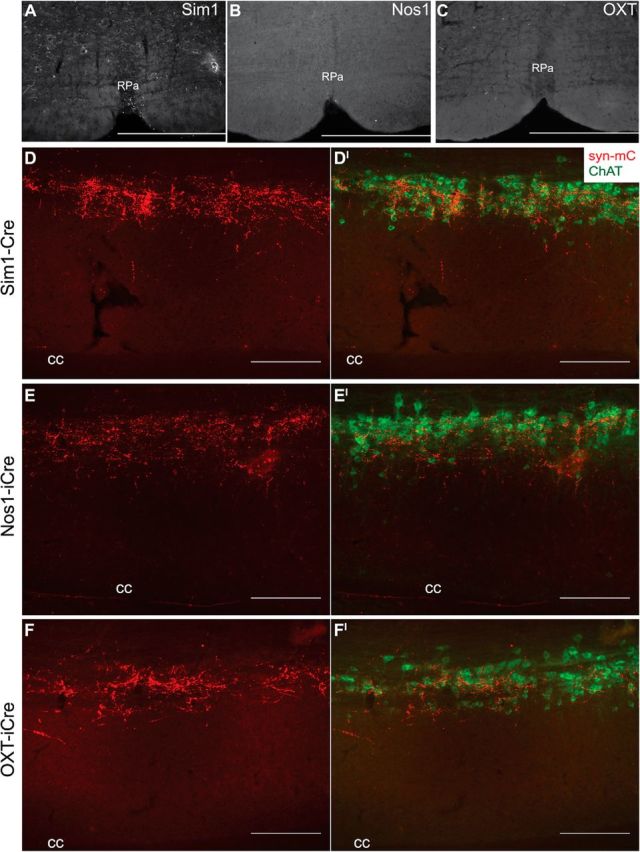 Figure 4.