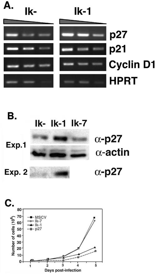 FIG. 5.