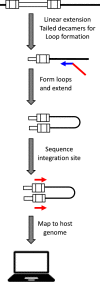 Fig. 4