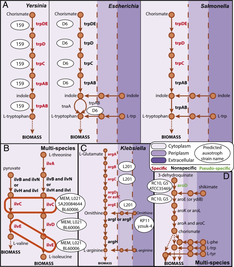 Fig. 4.