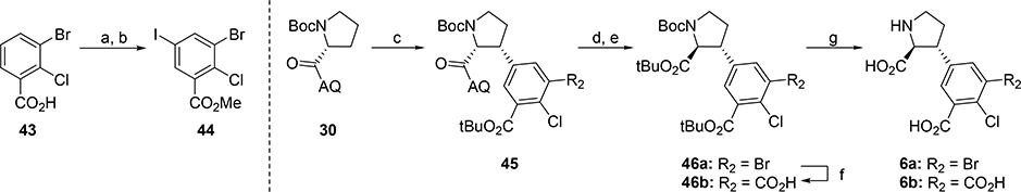 Scheme 11.