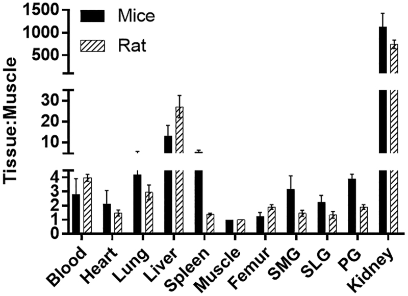 FIG. 6.