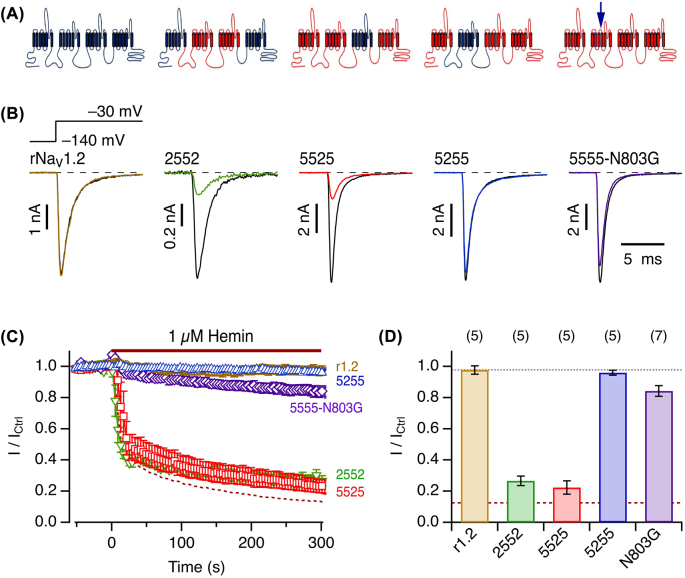 Figure 6: