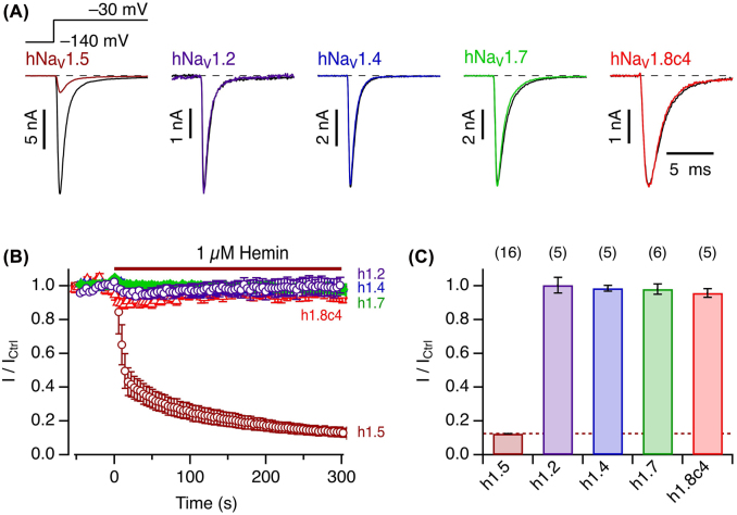 Figure 5: