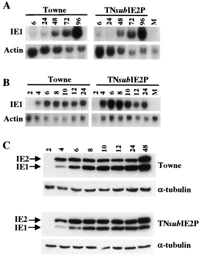 FIG. 2.