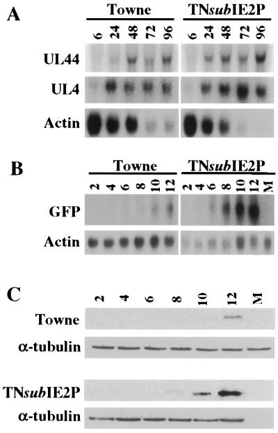 FIG. 3.