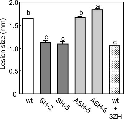 Fig. 6.