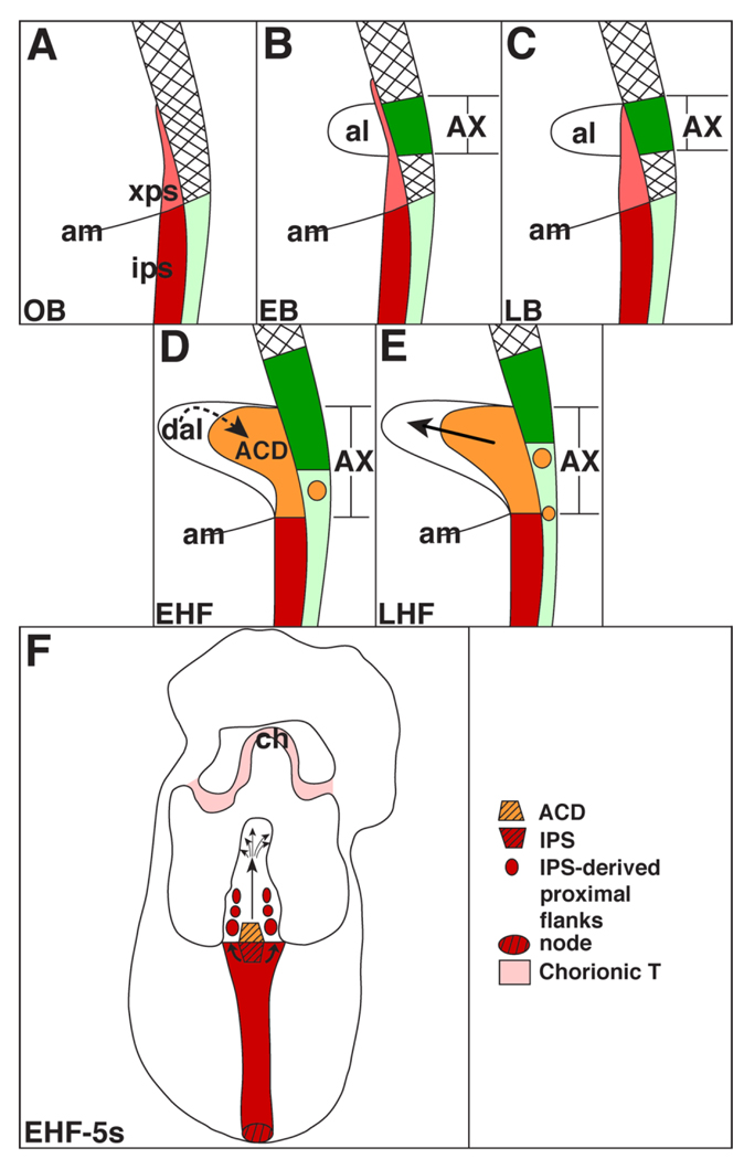 Fig. 14