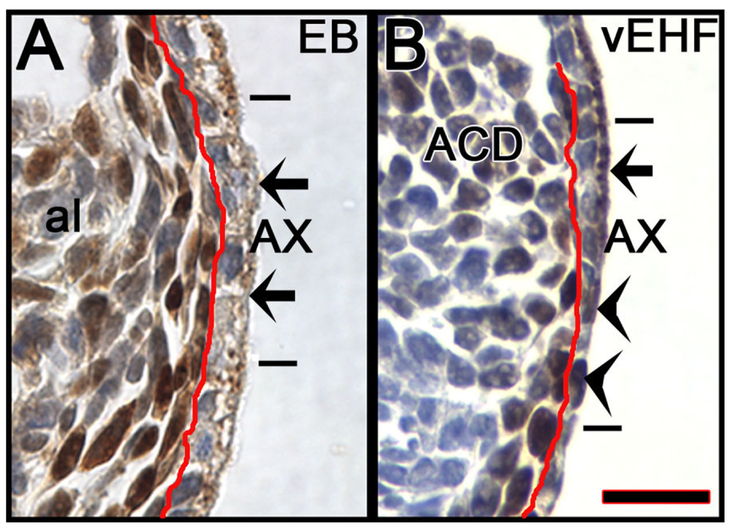 Fig. 12