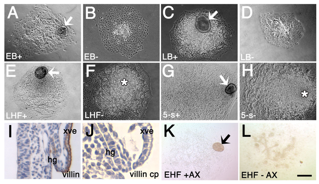 Fig. 13