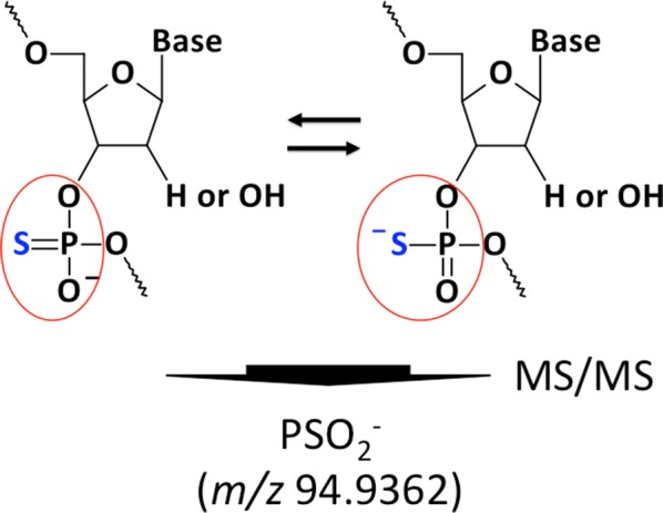 Fig. 1