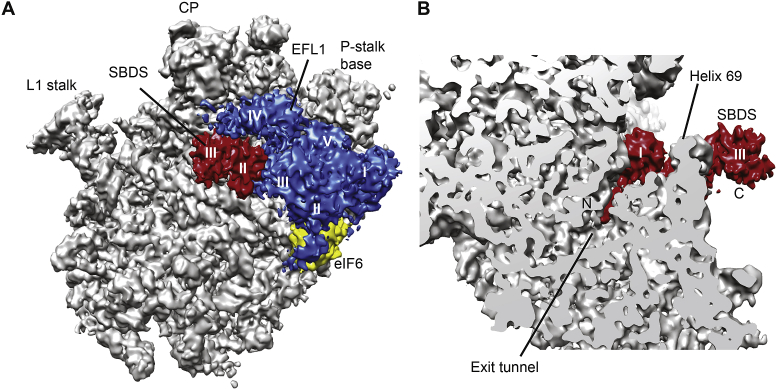 Fig. 3