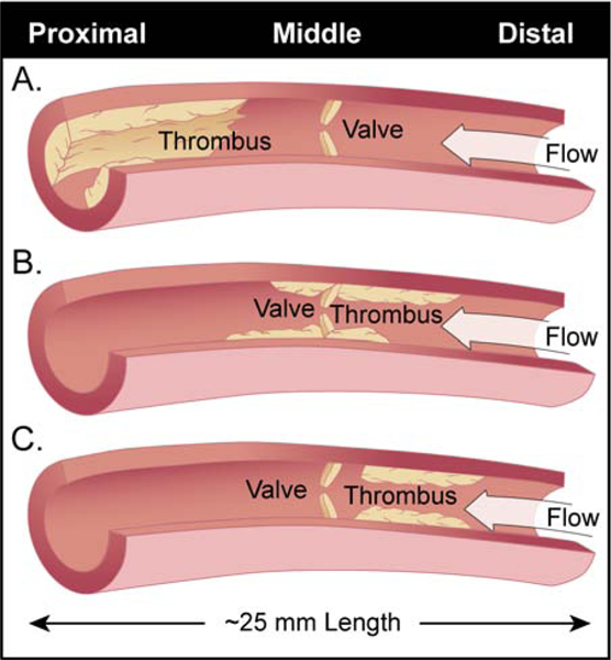 Figure 6: