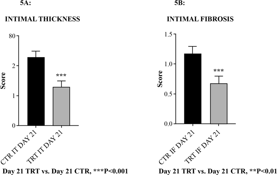 Figure 5: